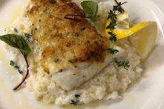 haddock